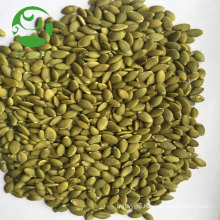 Shine skin pumpkin seeds new crop 2017 top grade